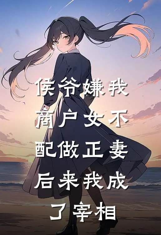 侯爷嫌我商户女不配做正妻,后来我成了宰相