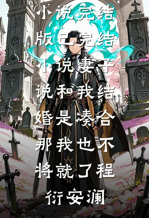 妻子说和我结婚是凑合，那我也不将就了程衍安澜免费小说完结版_已完结小说妻子说和我结婚是凑合，那我也不将就了(程衍安澜)