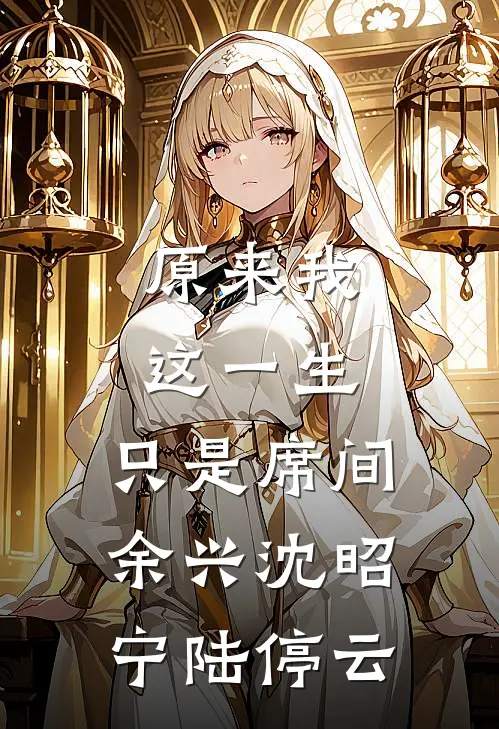 原来我这一生，只是席间余兴沈昭宁陆停云