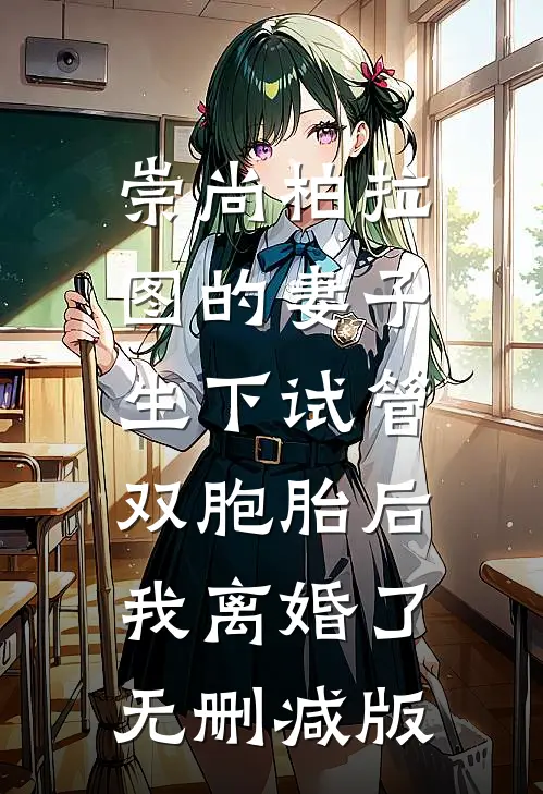 崇尚柏拉图的妻子生下试管双胞胎后，我离婚了无删减版