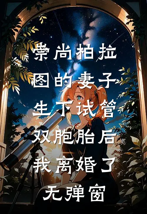 崇尚柏拉图的妻子生下试管双胞胎后，我离婚了无弹窗
