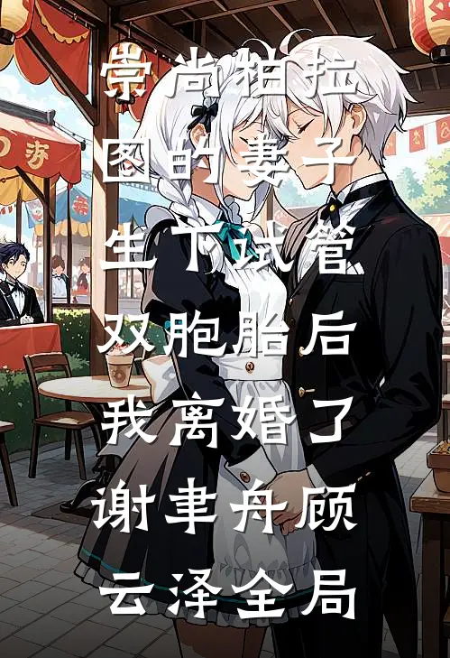 崇尚柏拉图的妻子生下试管双胞胎后，我离婚了谢聿舟顾云泽全局