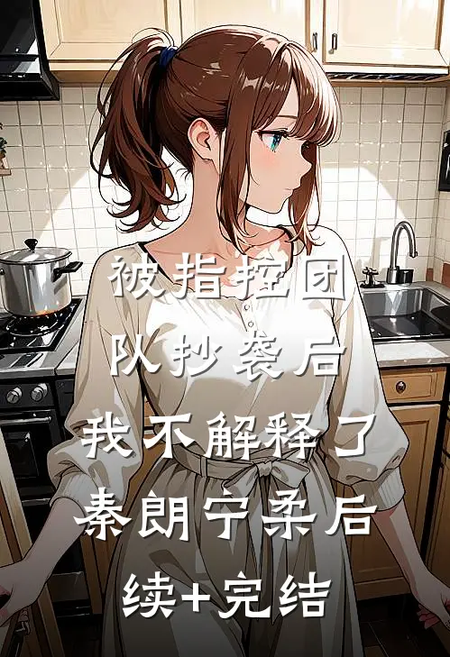被指控团队抄袭后，我不解释了秦朗宁柔后续+完结