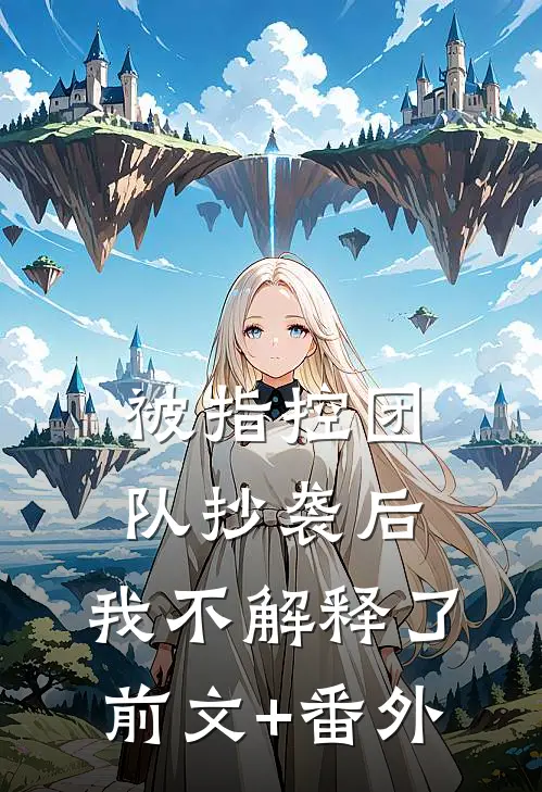 被指控团队抄袭后，我不解释了前文+番外