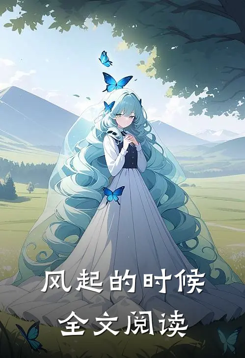 风起的时候全文阅读