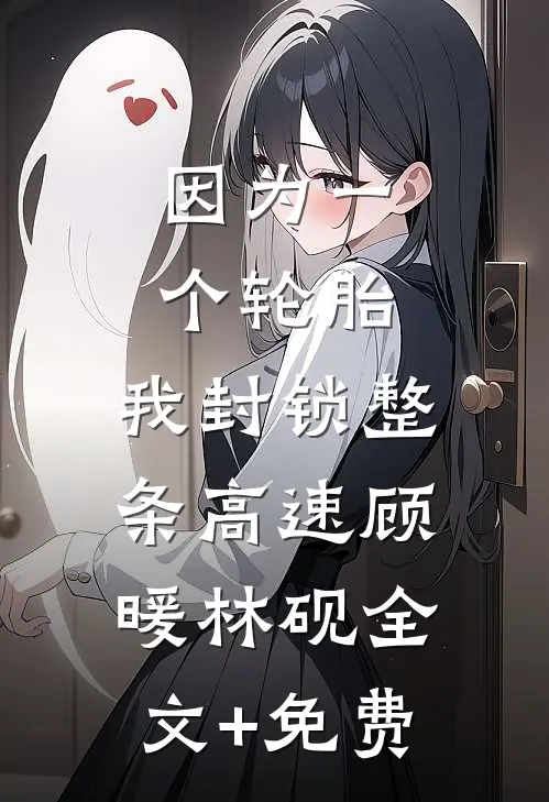 因为一个轮胎，我封锁整条高速顾暖林砚全文+免费