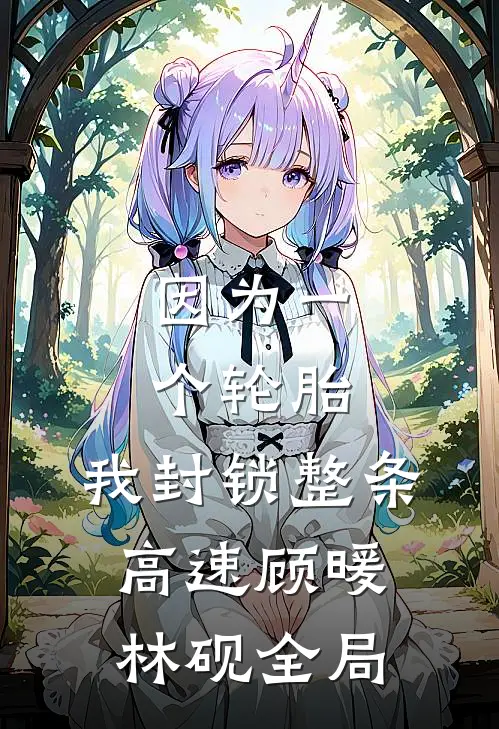 因为一个轮胎，我封锁整条高速顾暖林砚全局