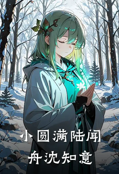 小圆满陆闻舟沈知意