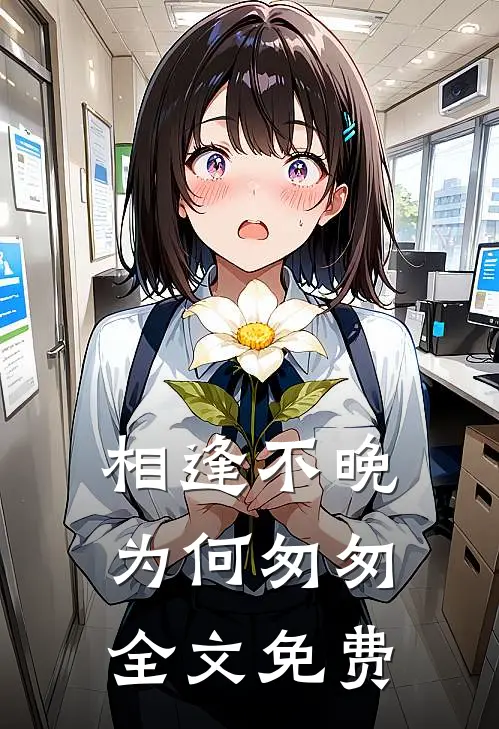 相逢不晚为何匆匆全文免费