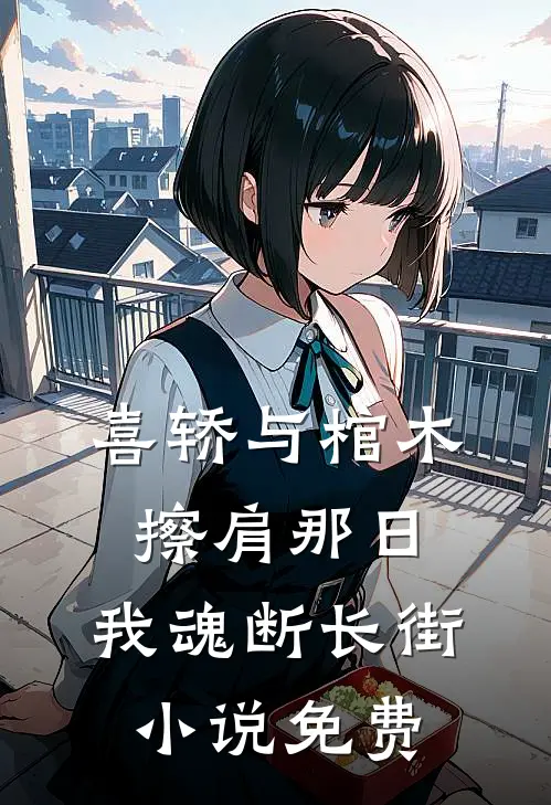 喜轿与棺木擦肩那日，我魂断长街小说免费