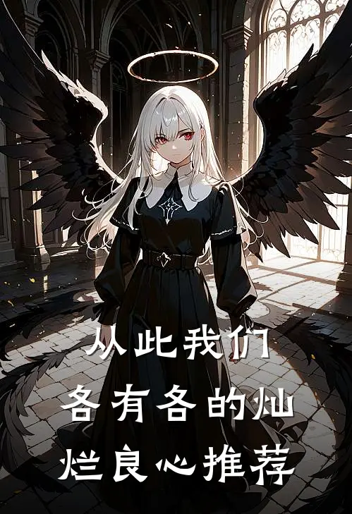 从此我们，各有各的灿烂良心推荐