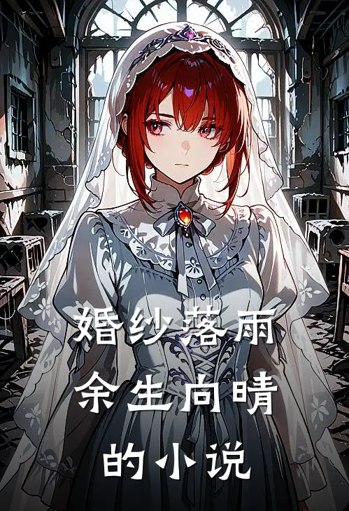婚纱落雨，余生向晴的小说