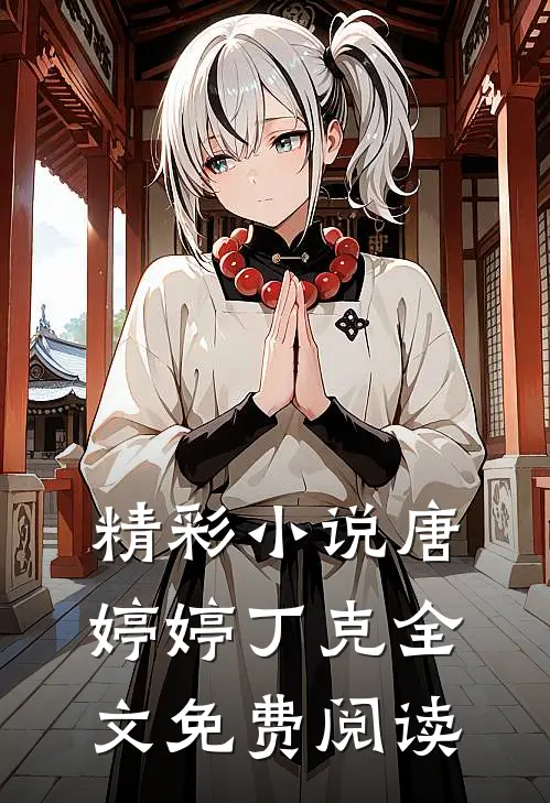 精彩小说唐婷婷丁克全文免费阅读