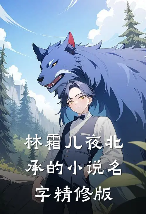 林霜儿夜北承的小说名字精修版
